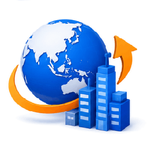 Management Solution for Foreign-Invested (FDI) Enterprises